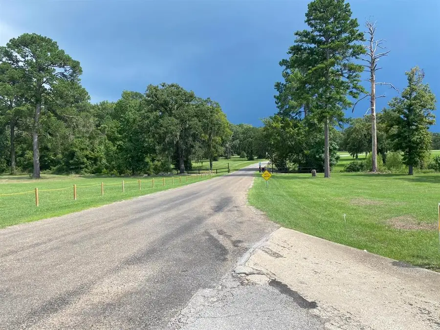 Lot 7 Monticello Street, Trinity, TX 75862 - #3