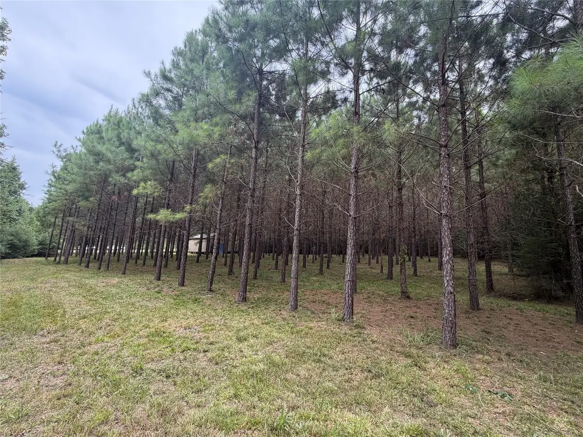 00 Cody Road, Livingston, TX 77351 - #1