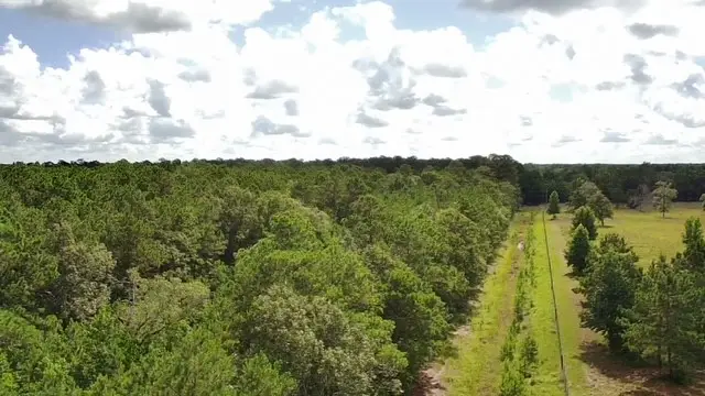 TBD A Dream Catcher Drive, Wallisville, TX 77597 - Image #2