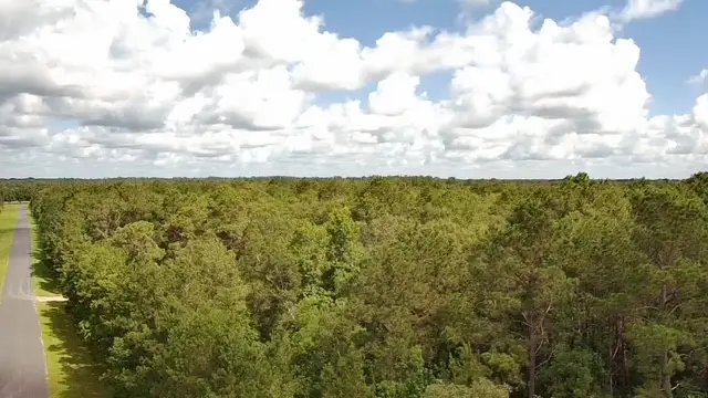 TBD A Dream Catcher Drive, Wallisville, TX 77597 - Image #3