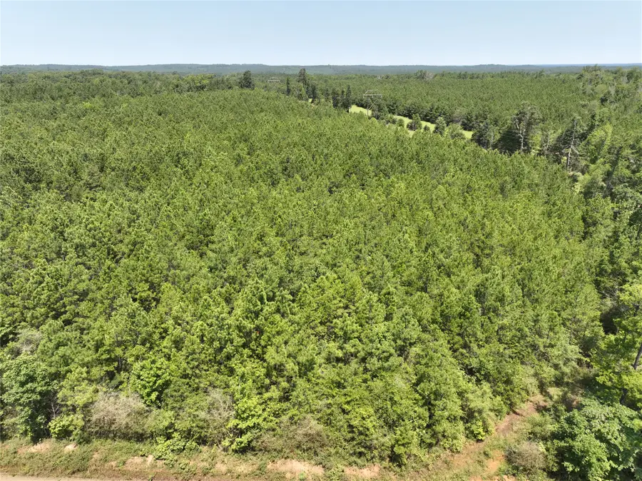 2 Carters Ferry Road, Milam, TX 75959 - Image #3