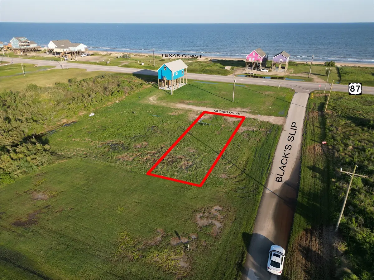 2306 Gumbo Drive, Gilchrist, TX 77617 - #1