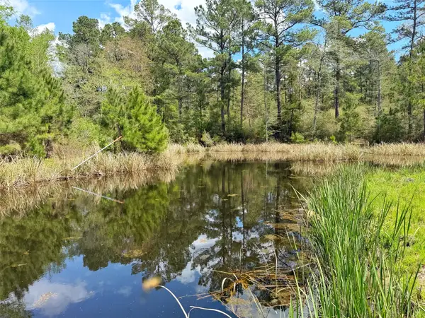 1878 Cr 131, Centerville, TX 75833