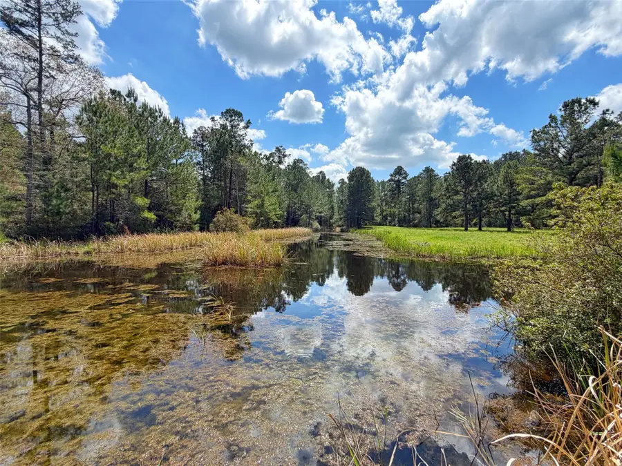 1878 Cr 131, Centerville, TX 75833 - #2