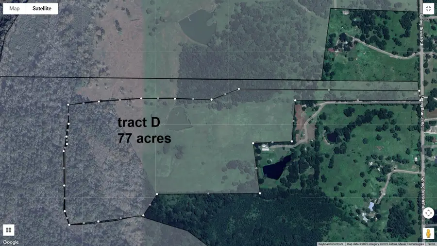 75 ACRES Spring Branch Road, Montgomery, TX 77316 - Image #3