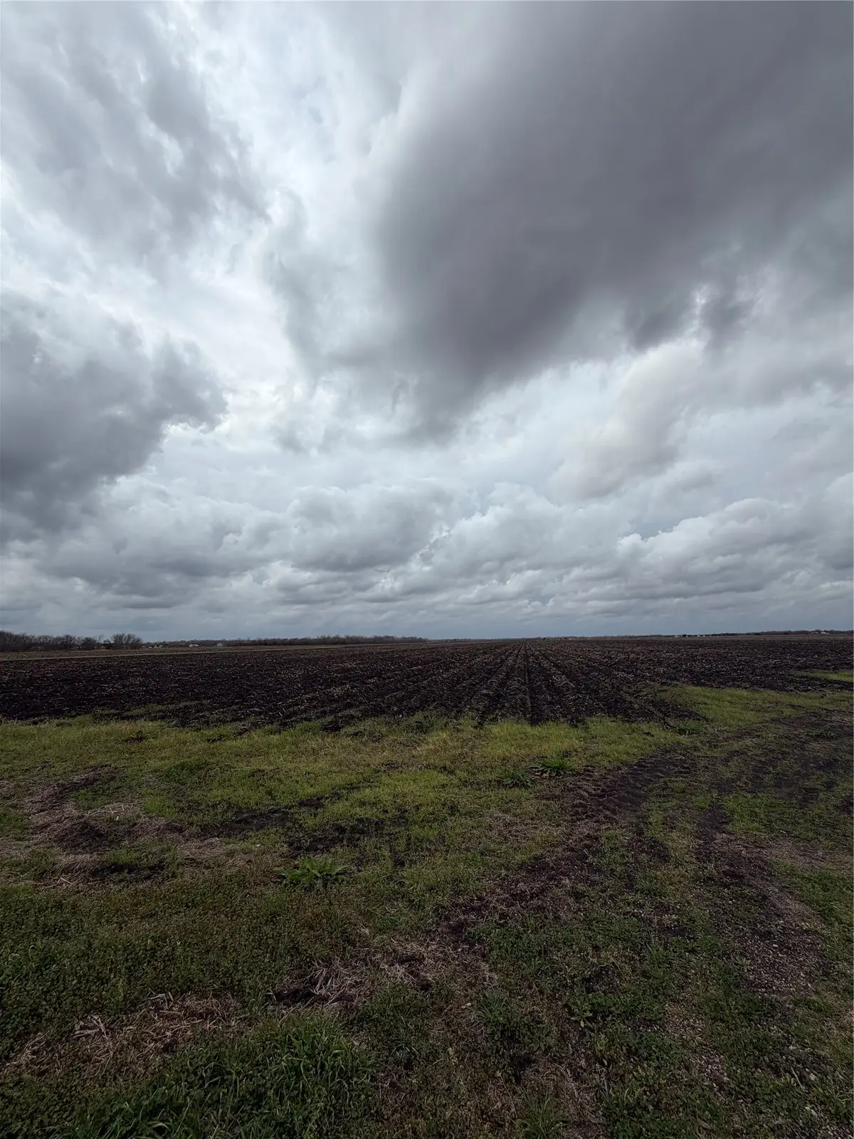 Tbd Ward Bend Road, Sealy, TX 77474 - #1