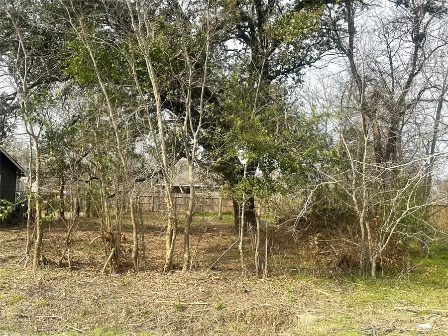 8109 Jeffery Street, Houston, TX 77028 - #3