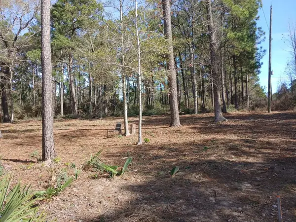 TBD Yupon Lane, Plantersville, TX 77363