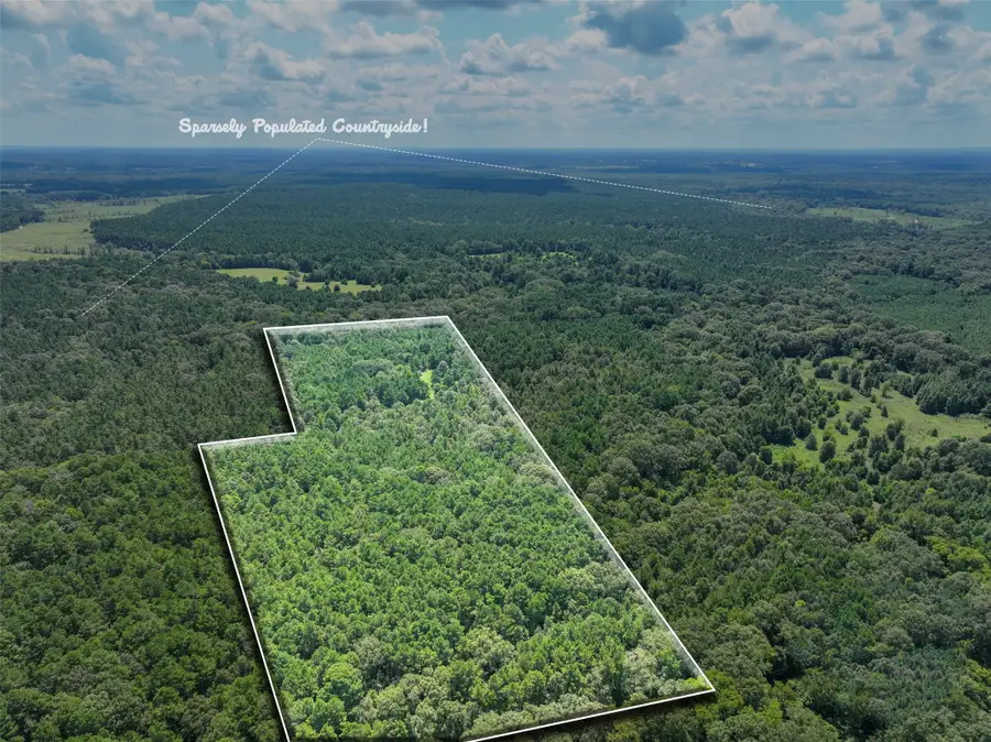 1580 00 County Road 4366, Tenaha, TX 75974 - #2