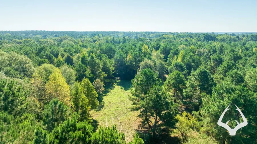 1580 00 County Road 4366, Tenaha, TX 75974 - #3
