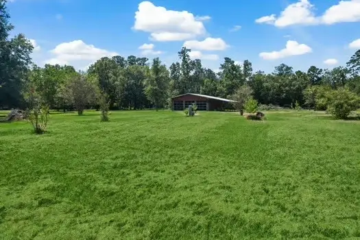 160 County Road 6498, Dayton, TX 77535 - Image #3