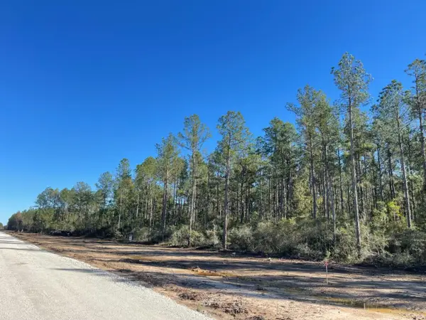 TBD Black Cat Road, Sour Lake, TX 77659