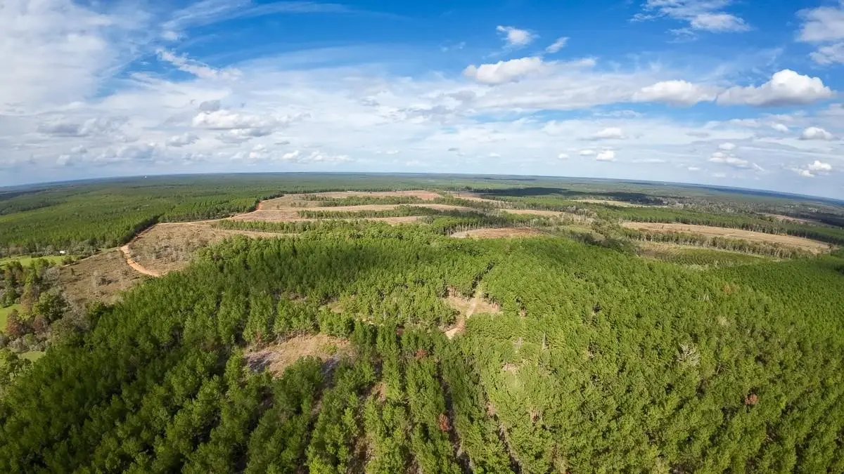 462 Timber Rd, Livingston, TX 77351 - Image #1