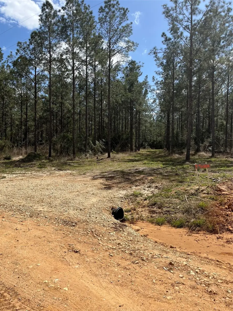 462 Timber Rd, Livingston, TX 77351 - Image #2