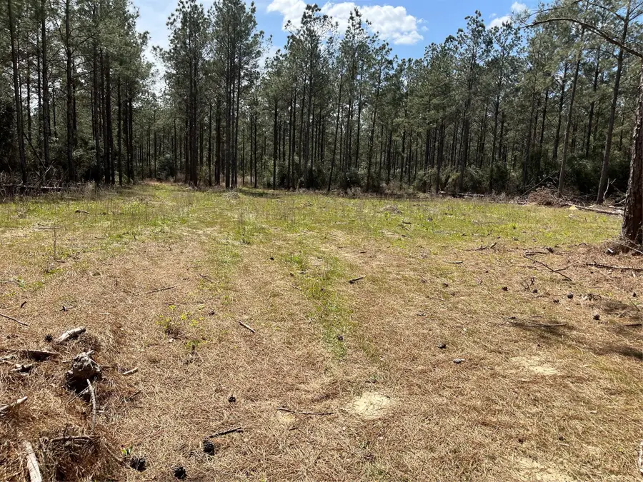 462 Timber Rd, Livingston, TX 77351 - Image #3