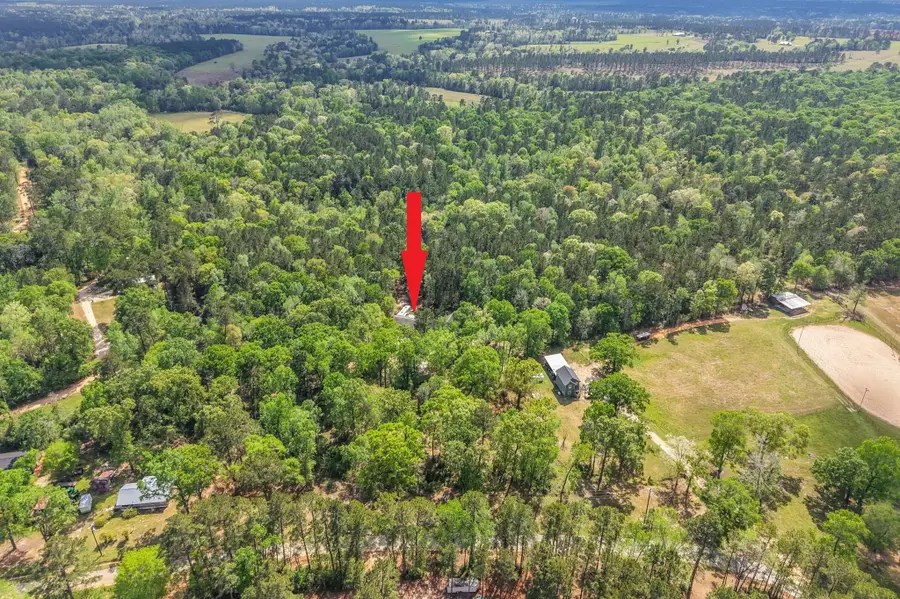 1290 Spring Ridge Road, Coldspring, TX 77331 - #2