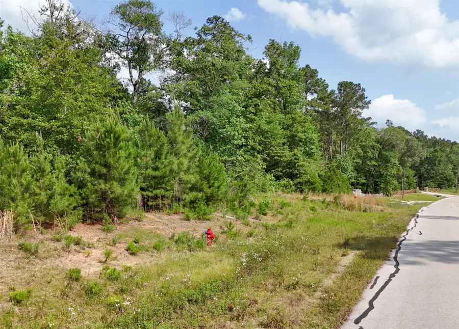 192 Inscription Lane, Huntsville, TX 77340 - #2