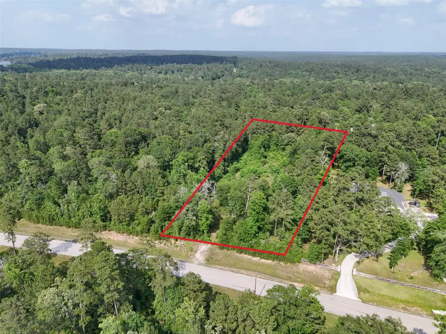 192 Inscription Lane, Huntsville, TX 77340 - #3