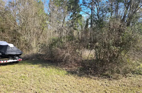 0 Plum Tree Circle, Livingston, TX 77351