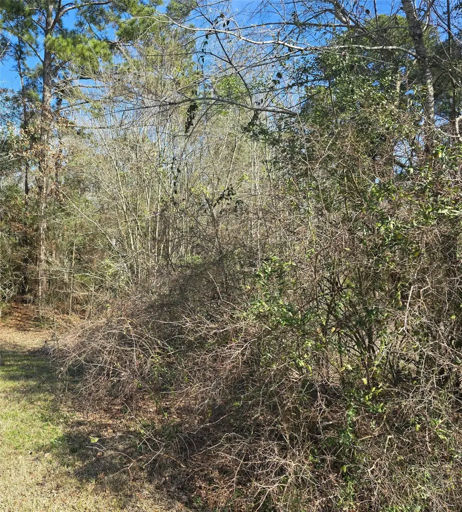 0 Plum Tree Circle, Livingston, TX 77351 - Image #2