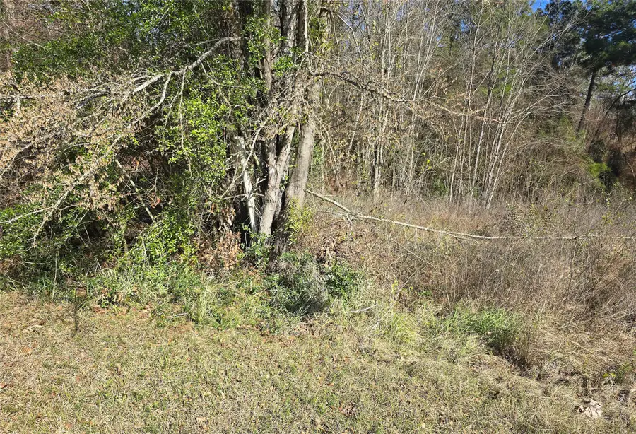 0 Plum Tree Circle, Livingston, TX 77351 - Image #3