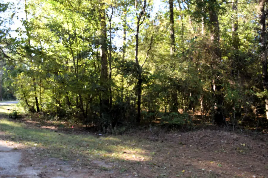 TBD Forester, Livingston, TX 77351 - #2