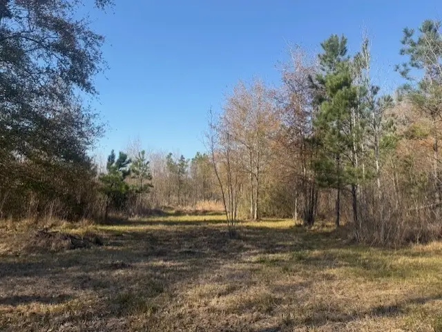 761 County Road 3556, Cleveland, TX 77327 - #2