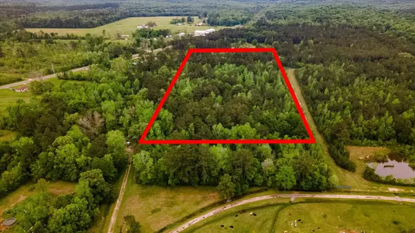 TBD Shaw Road, Batson, TX 77519