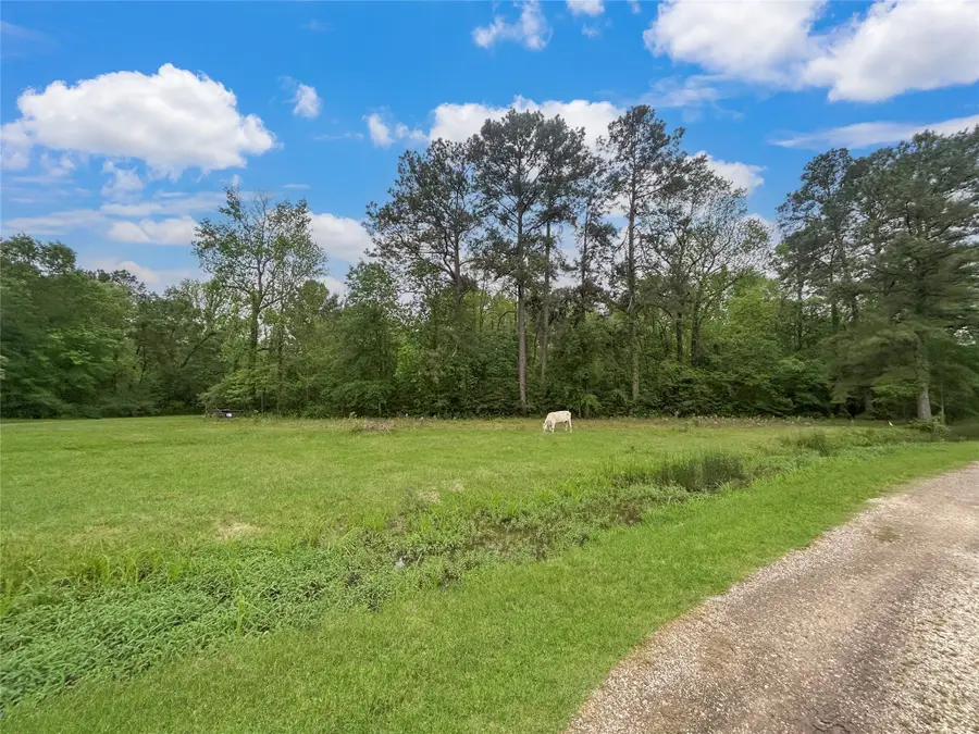 TBD Shaw Road, Batson, TX 77519 - Image #3