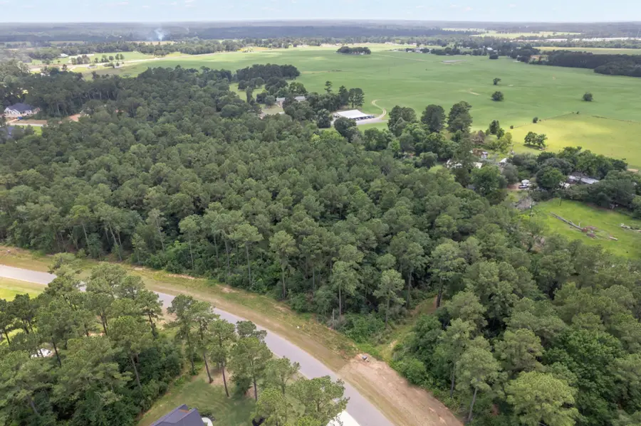 14762 Fm 1774, Plantersville, TX 77363 - Image #3