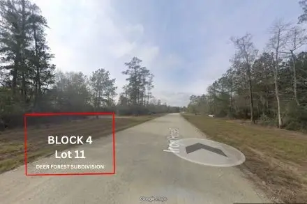 305 Iron Horse Road, Willis, TX 77378 - Image #1