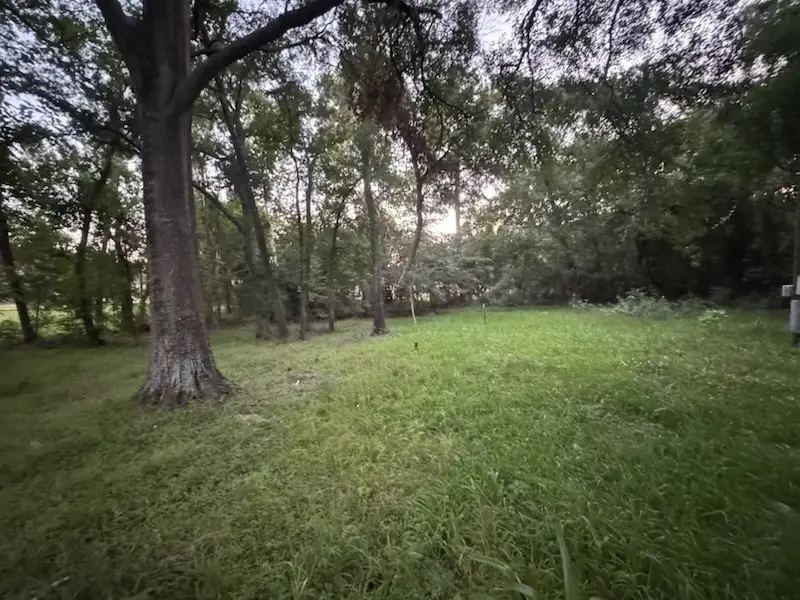 1117 Kellow Street, Conroe, TX 77304 - Image #3