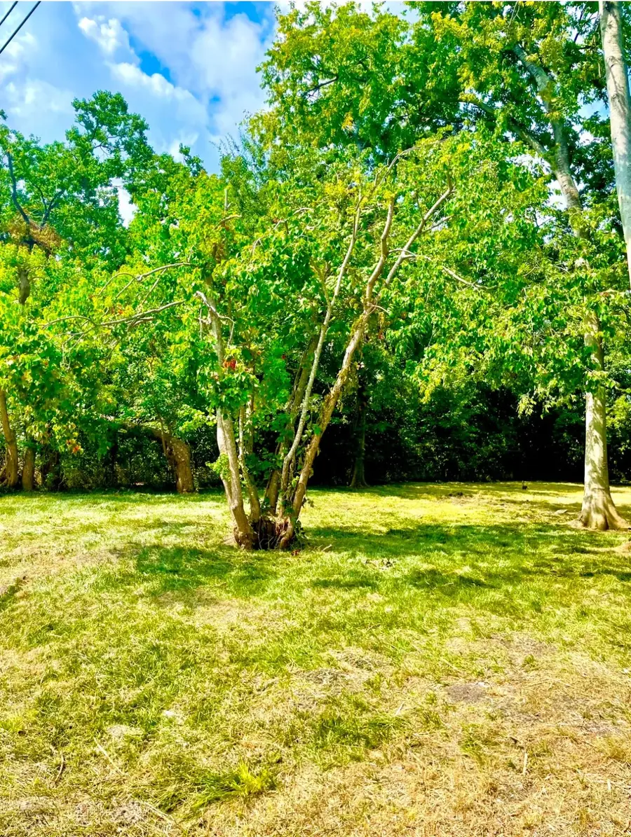 3415 Hewrick Street, Houston, TX 77020 - #2