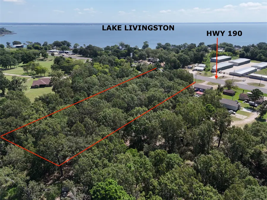 TBD Hwy 190 E, Point Blank, TX 77364 - #2