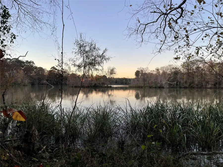 25810 Lakewater Drive, Huffman, TX 77336 - Image #3