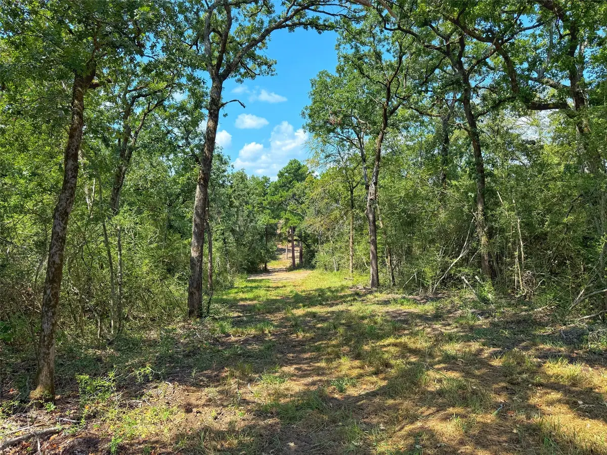 12 ac Cr 292, Buffalo, TX 75831 - Image #1