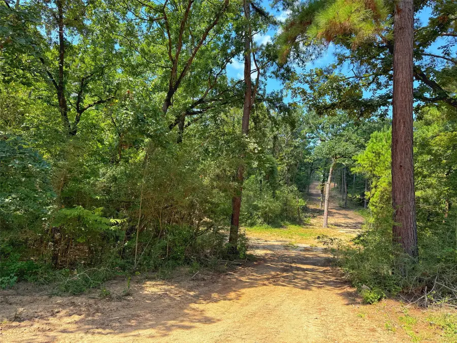 12 ac Cr 292, Buffalo, TX 75831 - Image #2