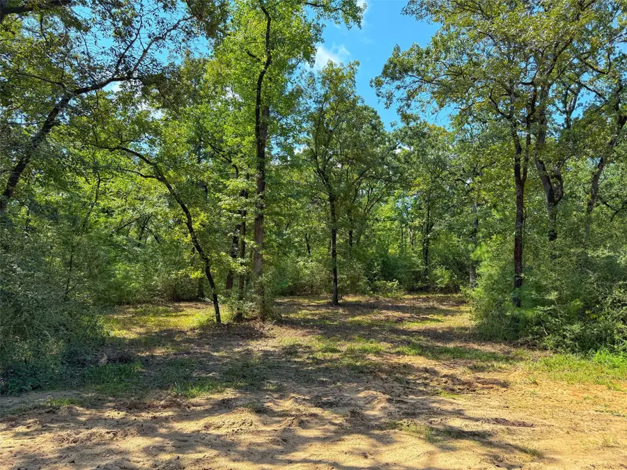 12 ac Cr 292, Buffalo, TX 75831 - Image #3