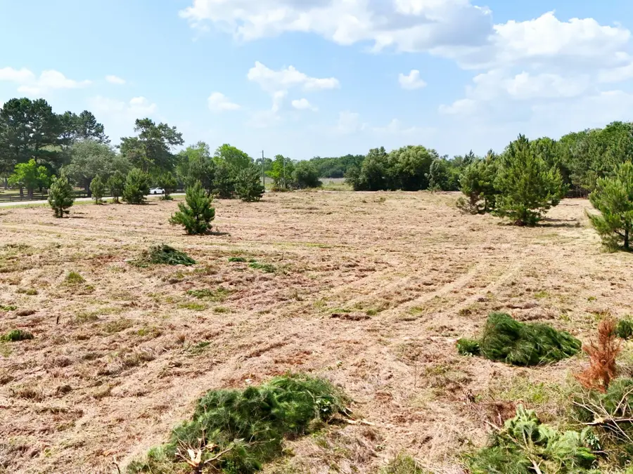 0 Badtke Road, Hockley, TX 77447 - #3