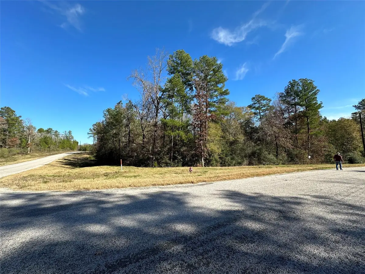 2-6-68 Hereford Trail, Huntsville, TX 77340 - Image #1