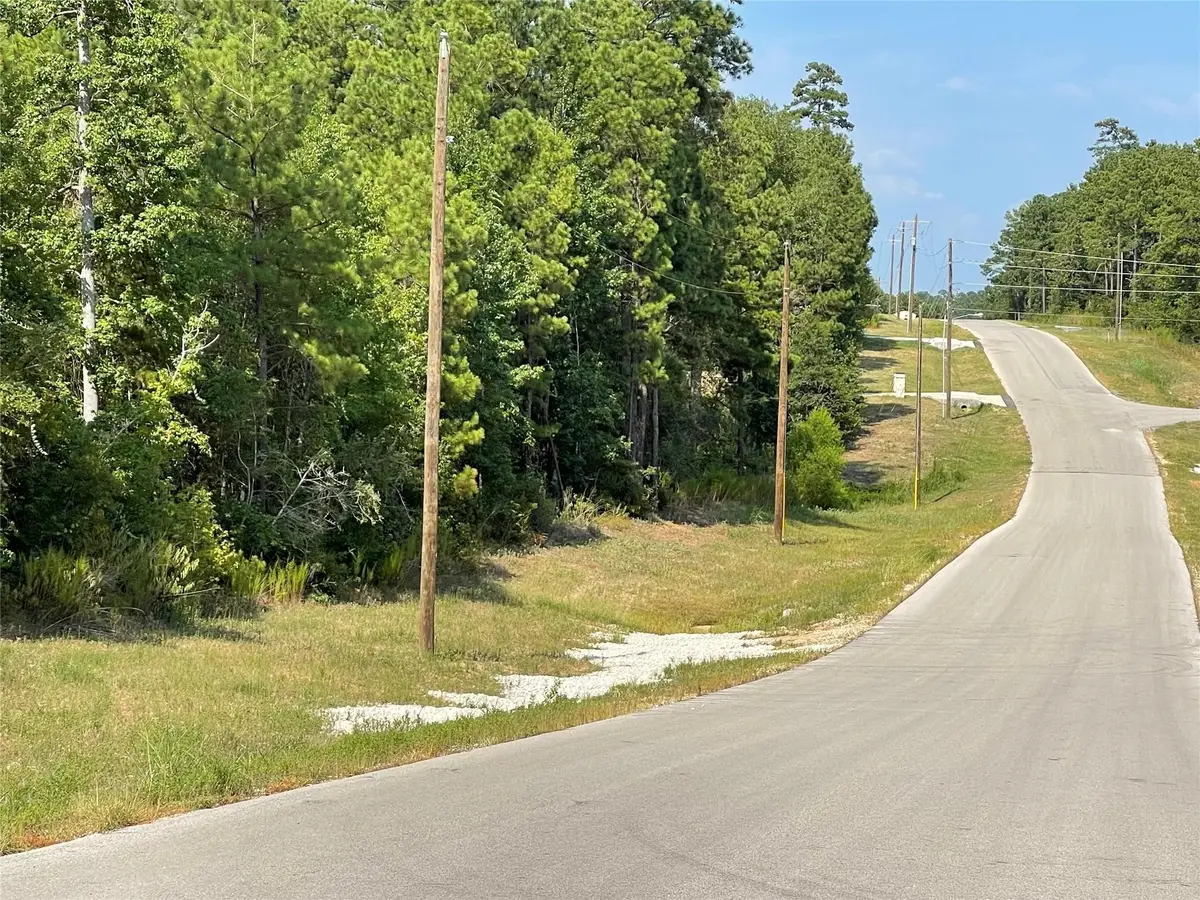 0 Feldspar Lane, Huntsville, TX 77340 - #1