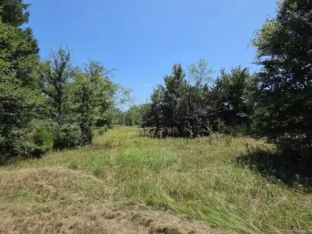 0 Hwy 14, Thornton, TX 76687 - #2