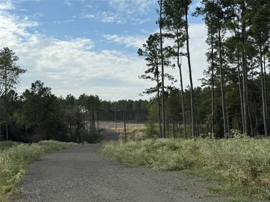 219 County Road 4872, Timpson, TX 75975 - #3