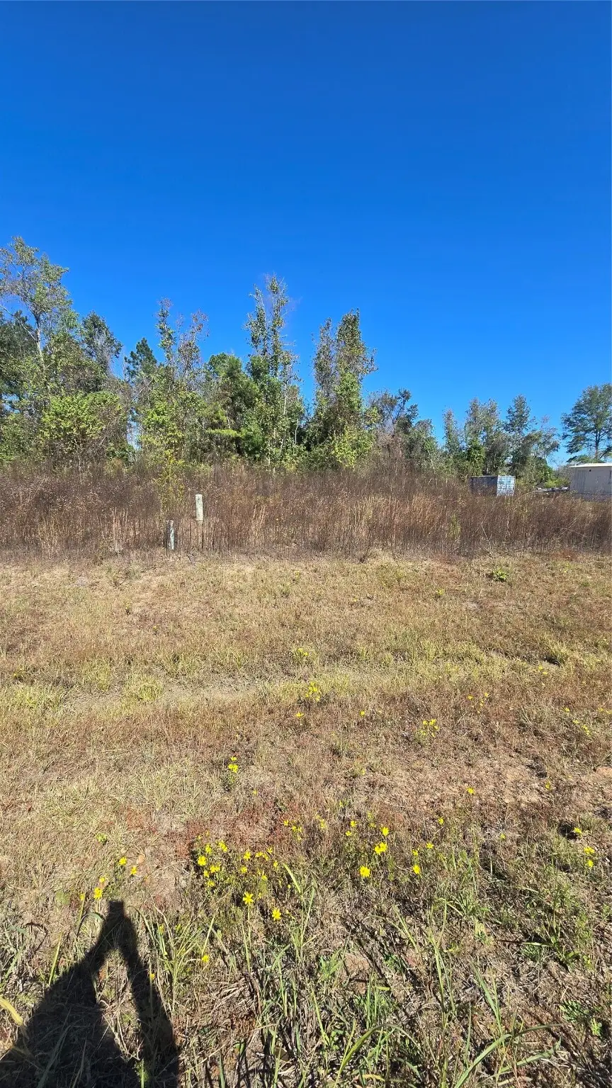 1167 Road 5894, Cleveland, TX 77327 - Image #1