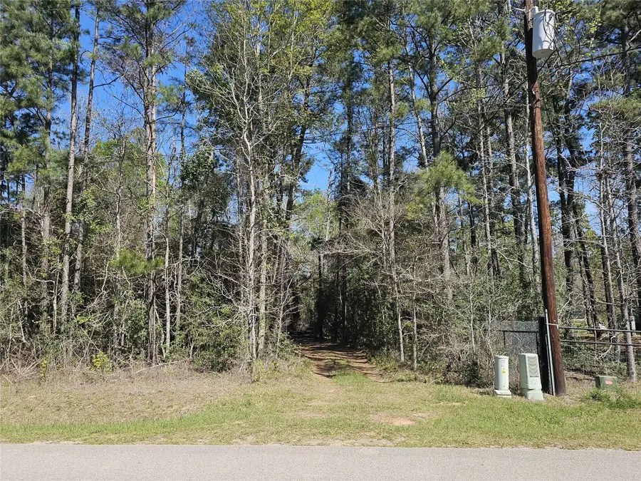 180 Hall Drive S, Montgomery, TX 77316 - #3