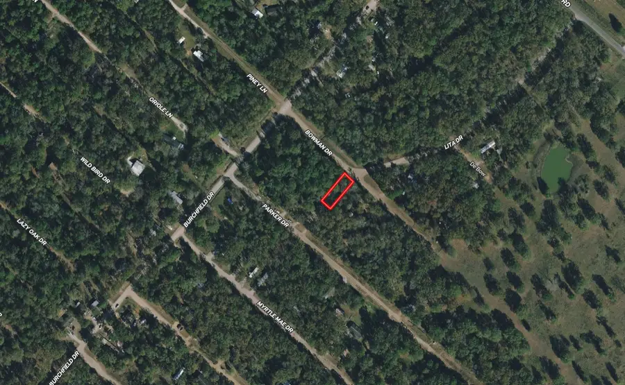 Lot 276 Bowman Drive, Livingston, TX 77351 - Image #2
