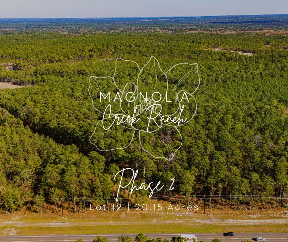 0212 Fm 3459 Road, Onalaska, TX 77360 - Image #1