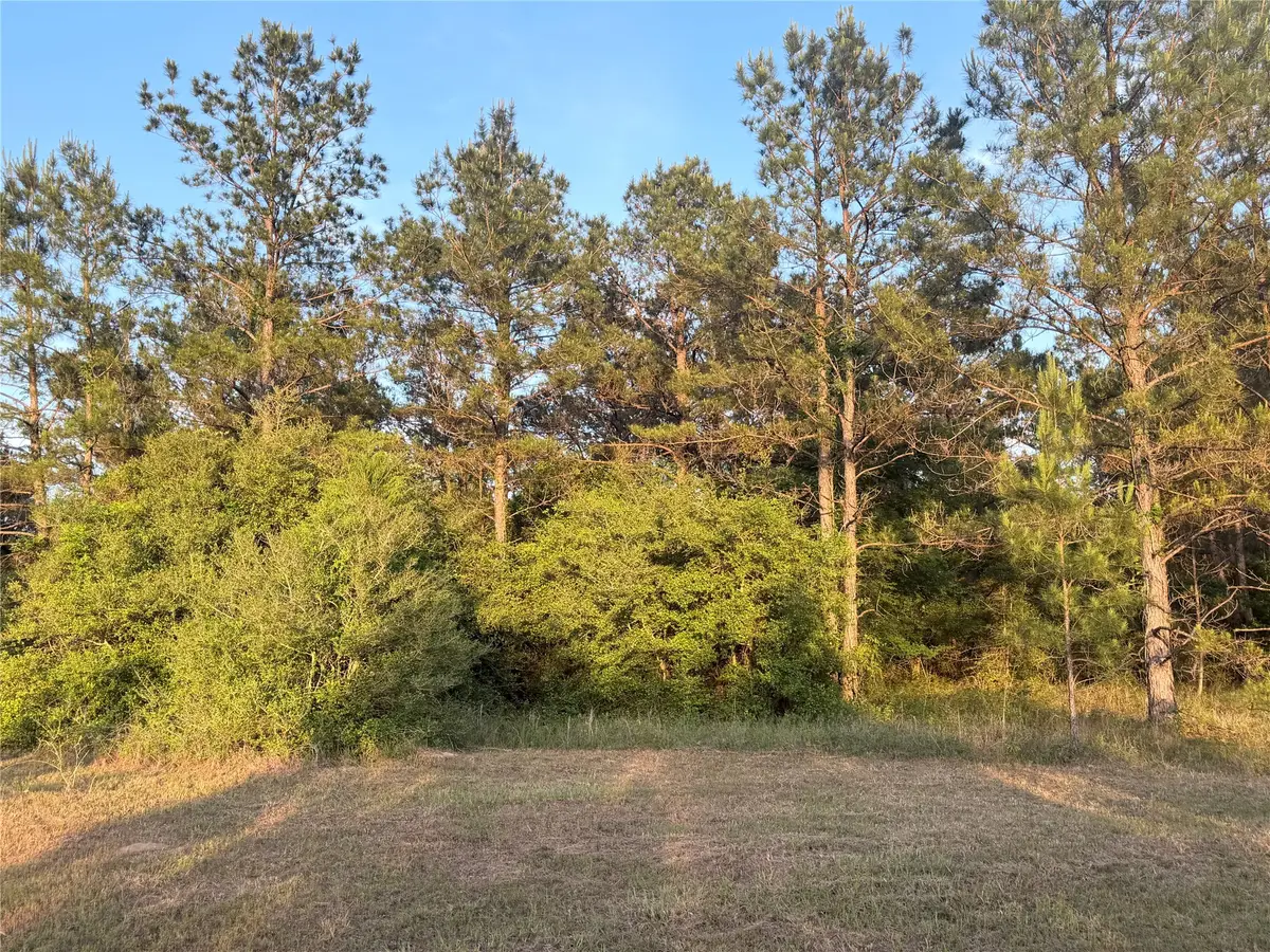 9130 Black Buck Lane, Conroe, TX 77303 - #1