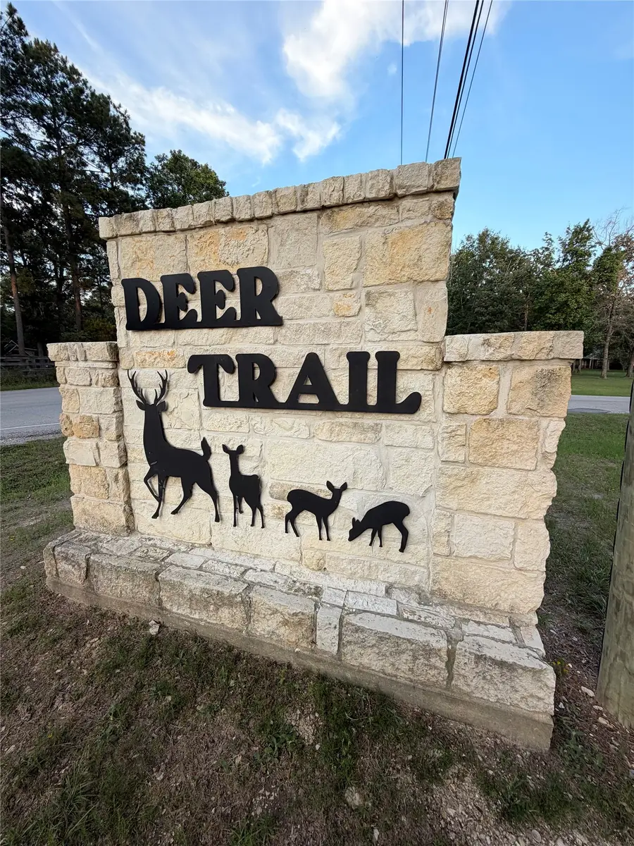9130 Black Buck Lane, Conroe, TX 77303 - #2