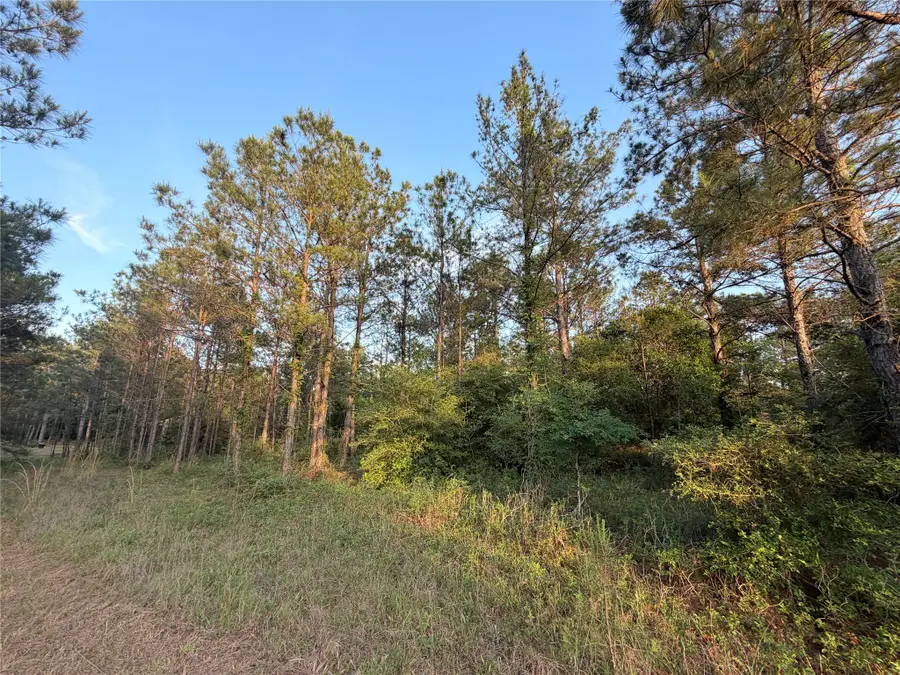 9130 Black Buck Lane, Conroe, TX 77303 - #3